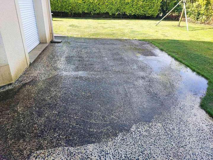 IMG 20240731 100743 1